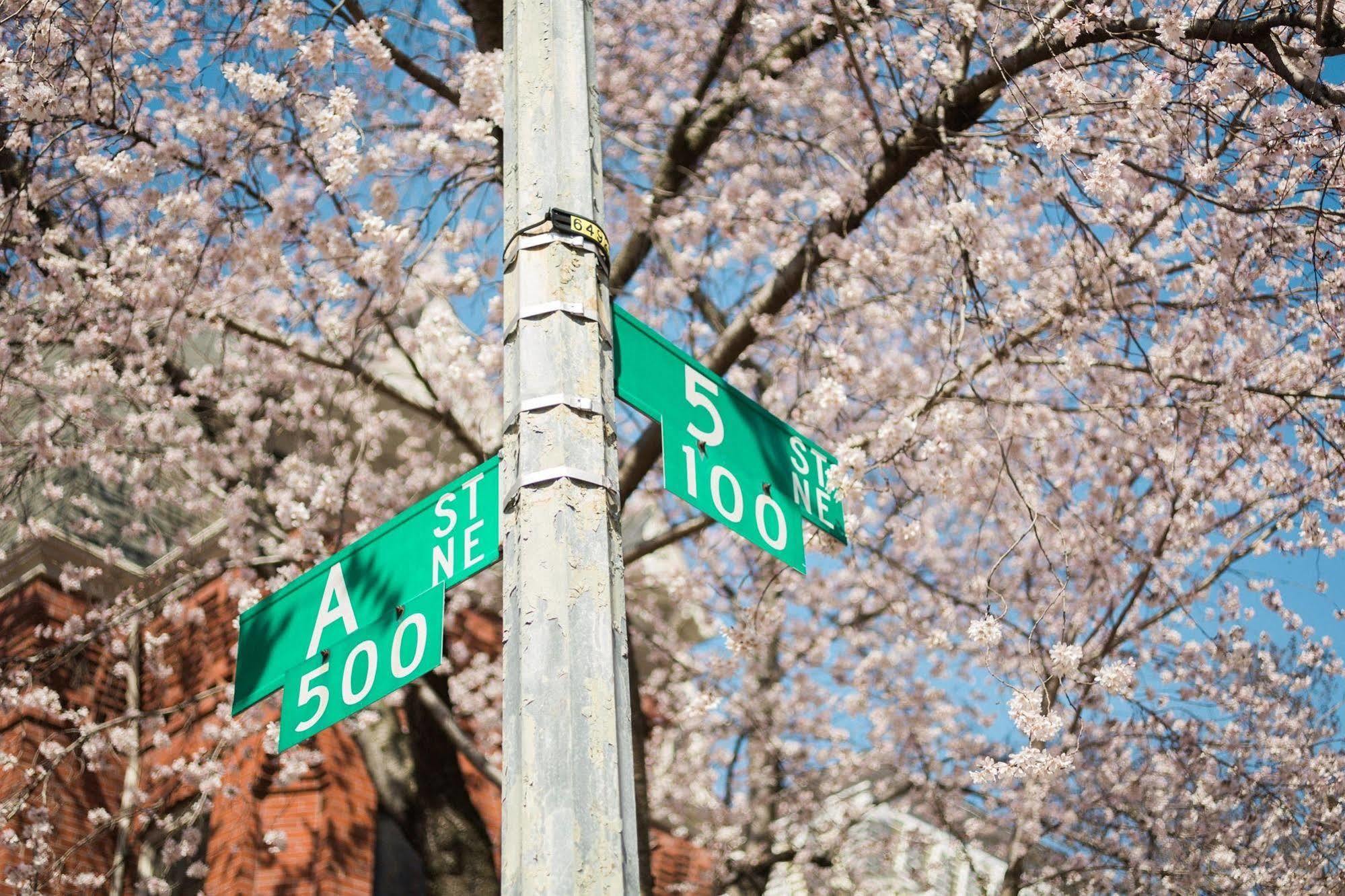 Found Places Capitol Hill Bed And Breakfast ワシントン エクステリア 写真