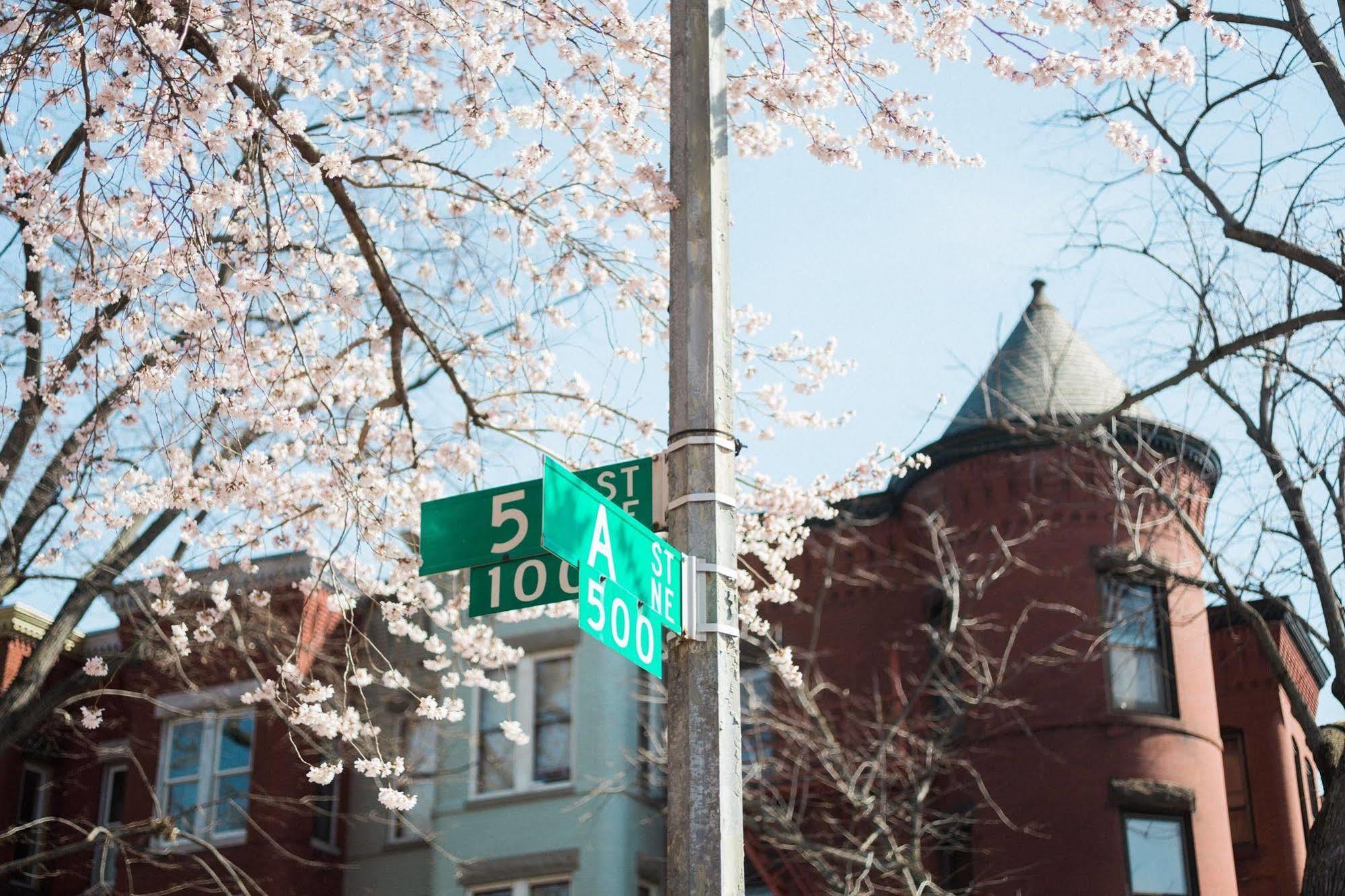 Found Places Capitol Hill Bed And Breakfast ワシントン エクステリア 写真